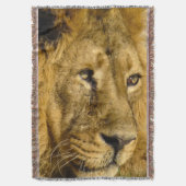 Lion Face Head Wildlife Cat Animal Throw Blanke Decke (Vorderseite Vertikal)