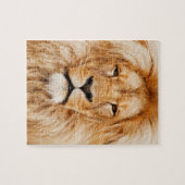 Lion Face Puzzle (Horizontal)