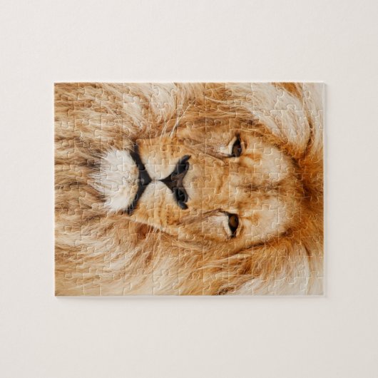 Lion Face Puzzle (Horizontal)