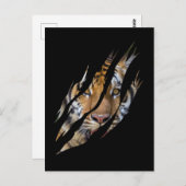 Lion Face Tiger Safari Claw Torn Postkarte (Vorne/Hinten)