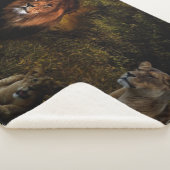 LION FAMILY SHERPADECKE (3/4)