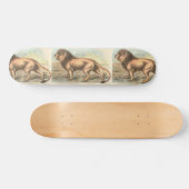 Lion, Felis leo Skateboard (Horizontal)