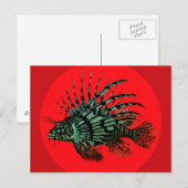 Lion fish Postkarte (Vorne/Hinten)