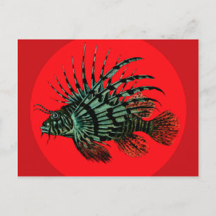 Lion fish Postkarte