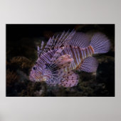 Lion Fish Wall Poster Custom Ocean Design (Vorne)