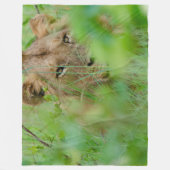 Lion Fleece Blanket (Vorderseite)