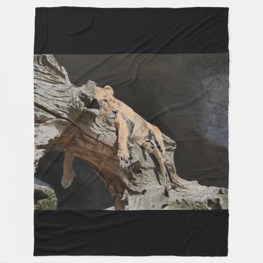 Lion Fleece Blanket (Vorderseite)