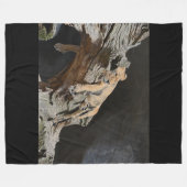 Lion Fleece Blanket (Vorderseite (Horizontal))