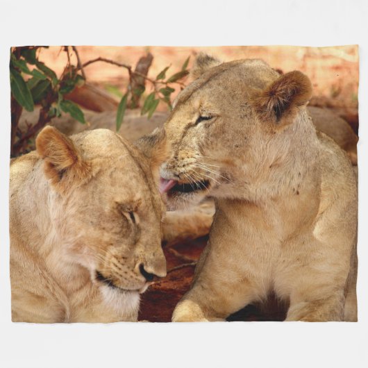 Lion Fleece Blanket (Vorderseite (Horizontal))