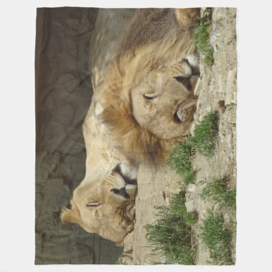 Lion Fleece Blanket (Vorderseite)