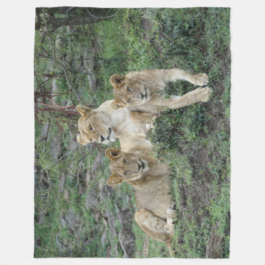 Lion Fleece Blanket (Vorderseite)
