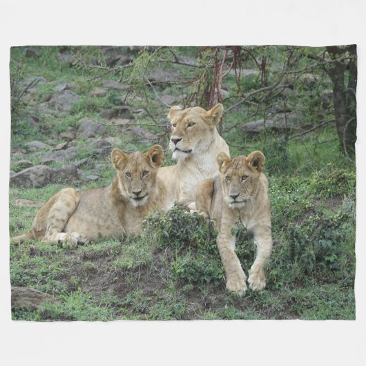 Lion Fleece Blanket (Vorderseite (Horizontal))