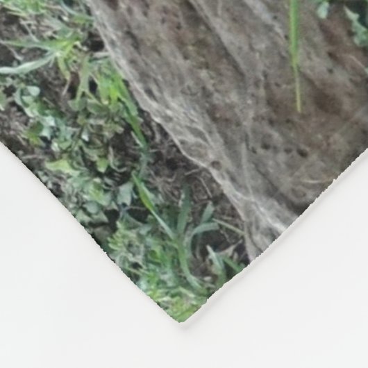 Lion Fleece Blanket (Ecke)