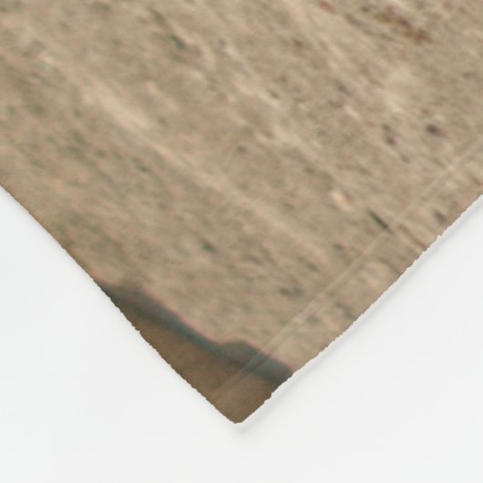 Lion Fleece Blanket (Ecke)