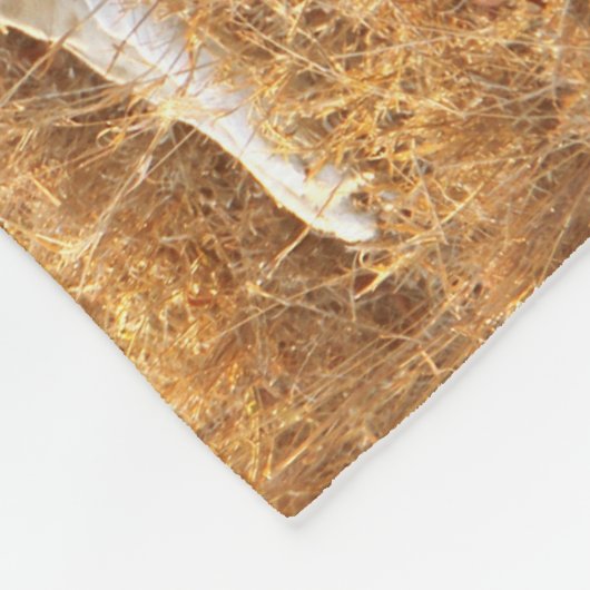 Lion Fleecedecke (Ecke)