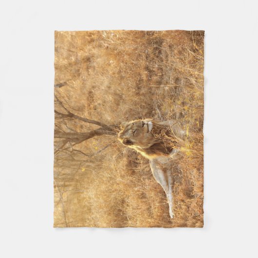 Lion Fleecedecke (Vorderseite)