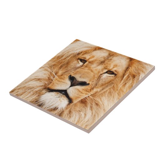 Lion Fliese (Seite)