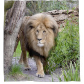 Lion Foto Druckdusche Cutrain Duschvorhang (Vorderseite)