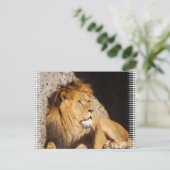 Lion Foto Postcard Postkarte (Stehend Vorderseite)