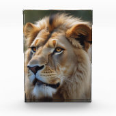 Lion Fotoblock (Vorderseite)