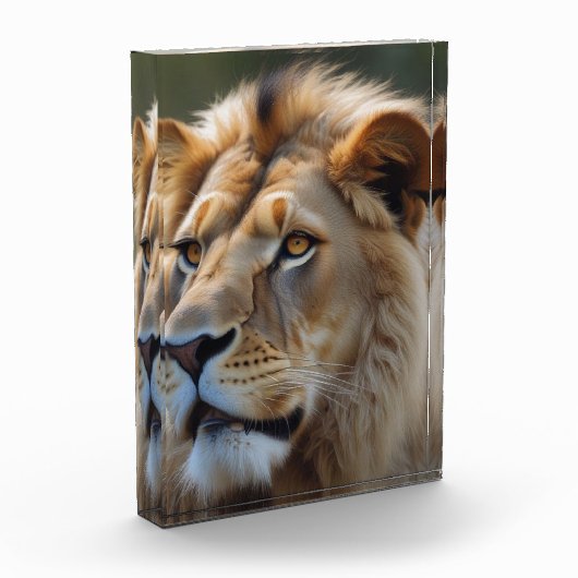 Lion Fotoblock (Links)