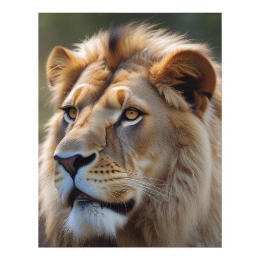 Lion Fotodruck (Vorne)