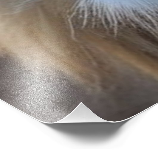 Lion Fotodruck (Ecke)