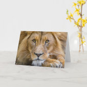 LION FOTOGRAFIE BIRTHDAY GREETING CARD KARTE (Gelbe Blume)