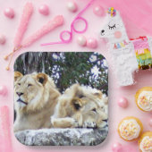 Lion Friends Paper Tellers Pappteller (Party)
