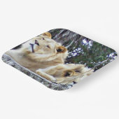 Lion Friends Paper Tellers Pappteller (Gewinkelt)