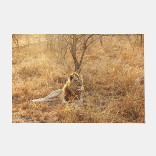 Lion Fußmatte (Vorderseite)