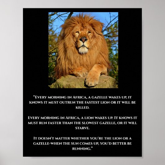 Lion & Gazelle African Quote Poster (Vorne)