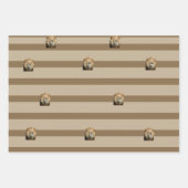 Lion-Geschenkpackung Geschenkpapier Set (Vorderseite 2)