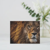Lion-Gesicht Nah-up-Foto Postkarte (Stehend Vorderseite)
