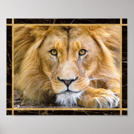 Lion-Gesichtshälfte Brillantes Foto Image Print Po Poster