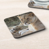 Lion Getränkeuntersetzer (Linke Seite)