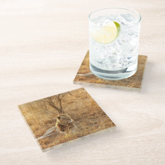 Lion Glasuntersetzer (Schrägansicht)