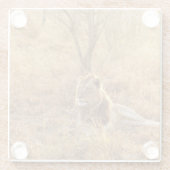 Lion Glasuntersetzer (Rückseite)