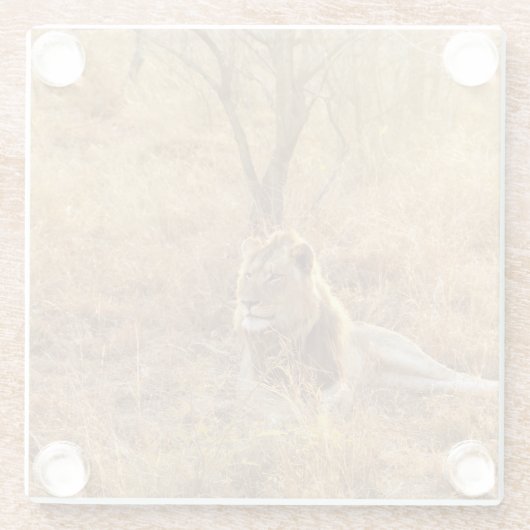 Lion Glasuntersetzer (Rückseite)