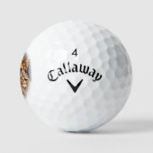 Lion Golfball (Logo)