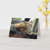 Lion Greetin Card Karte (Gelbe Blume)
