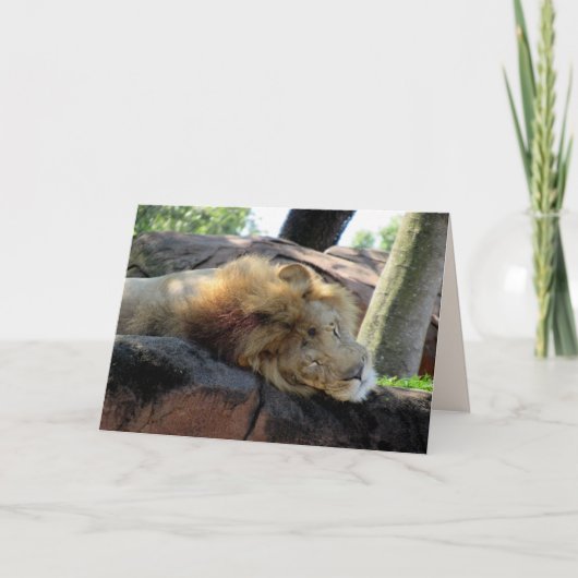 Lion Greetin Card Karte (Vorderseite)
