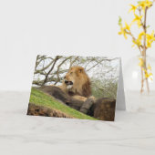 Lion Greeting Card (0356) Karte (Gelbe Blume)