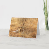 Lion Greeting Card Karte (Vorderseite)