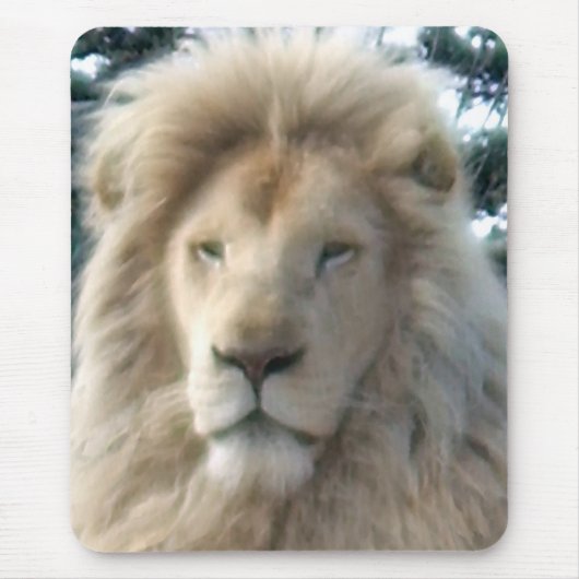 Lion Head mousepad (Vorne)