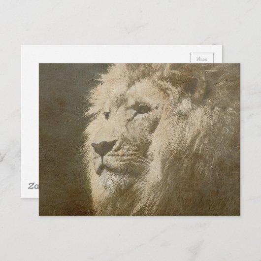 Lion Head of the King Modern Pop Art Template Postkarte (Vorne/Hinten)
