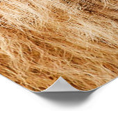 Lion Head Poster (Ecke)