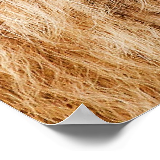 Lion Head Poster (Ecke)