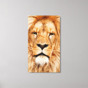 Lion Head Wrapped Canvas Print Leinwanddruck