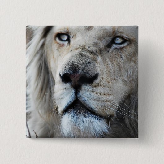 Lion hört meinem Herzschlag Afrika zu Button (Vorderseite)